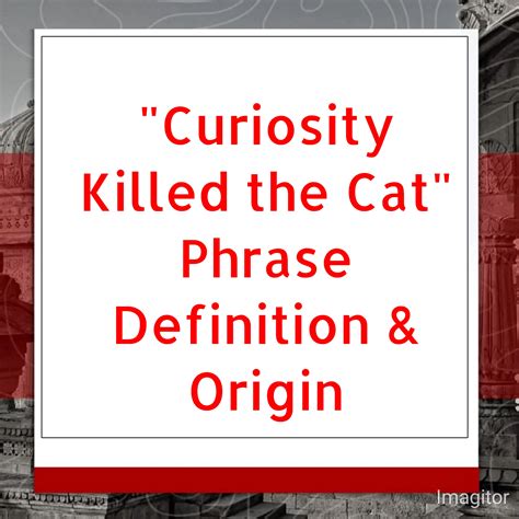 what killed the cat word hike|The Interesting Meaning and History of the Phrase ‘Curiosity Killed the.
